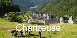 Chartreuse