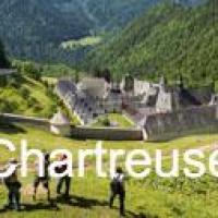 Chartreuse