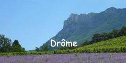 Drome copie