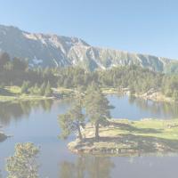 Lac achart base